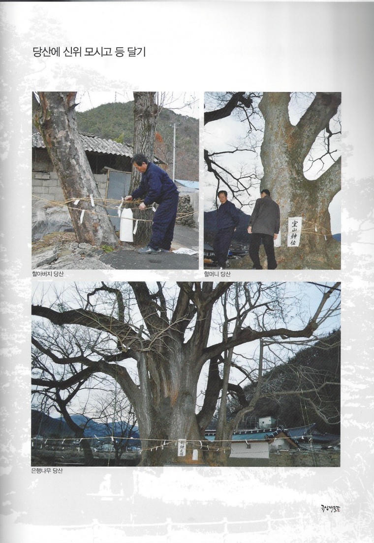 Scan9.jpg